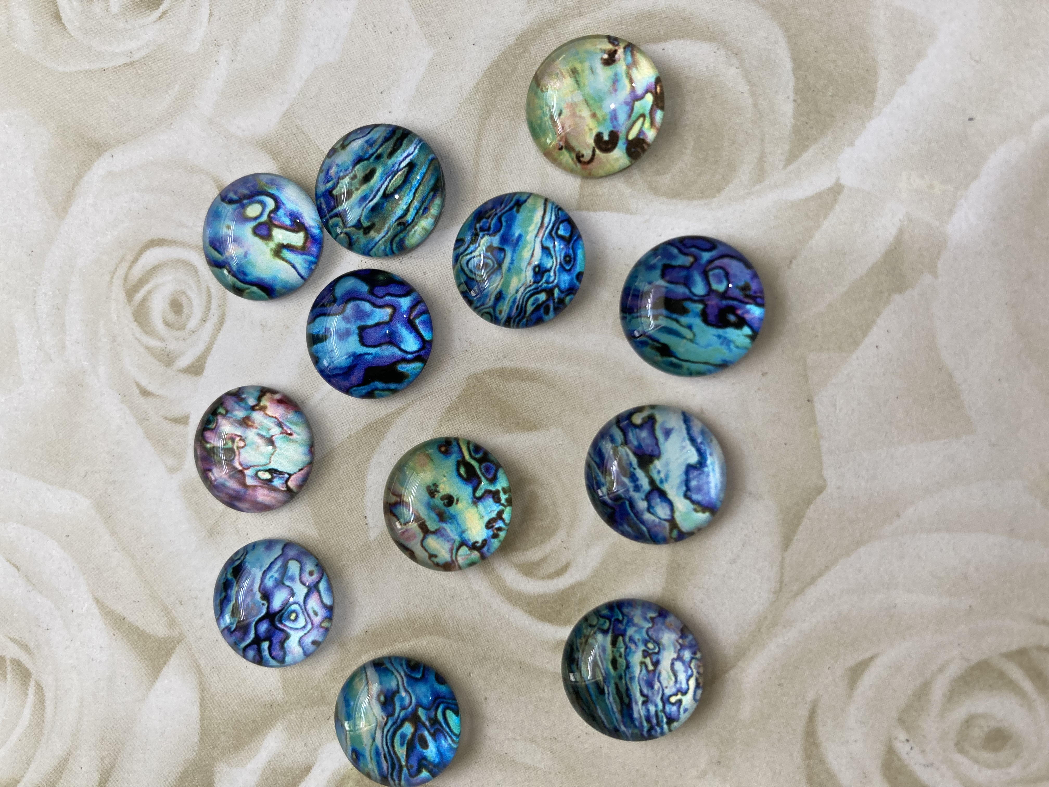 Glass Domed Paua Shell Design 12mm Cabochons