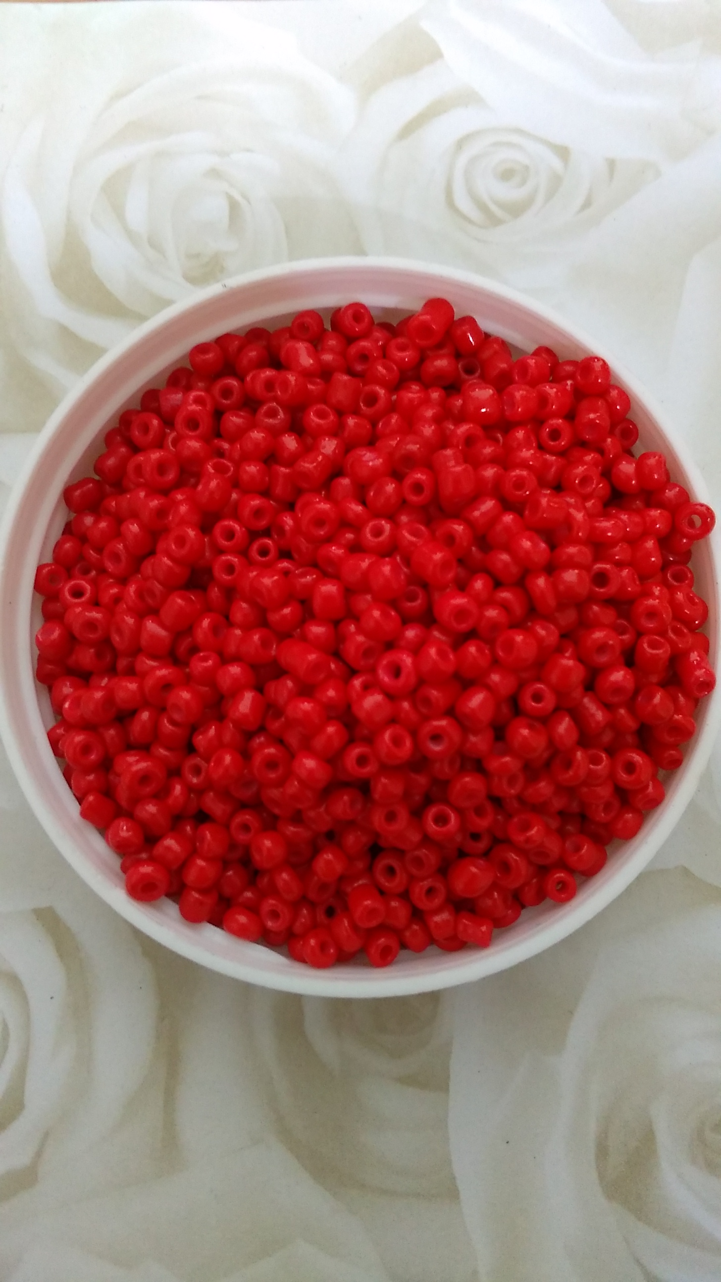 Bright Red 8/0 Seed Beads